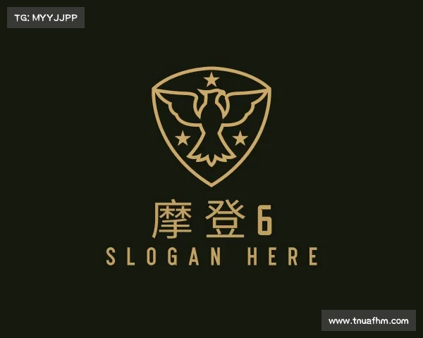 知道摩登6